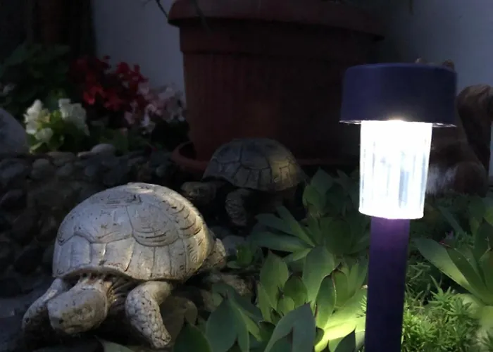 Pensión Sarievi Tsarevo