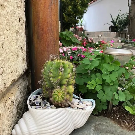 Sarievi 게스트하우스 2*