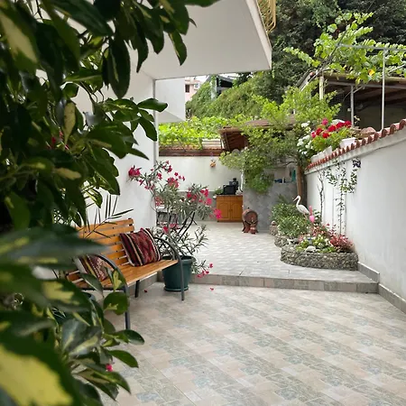 Guest house Sarievi 2*