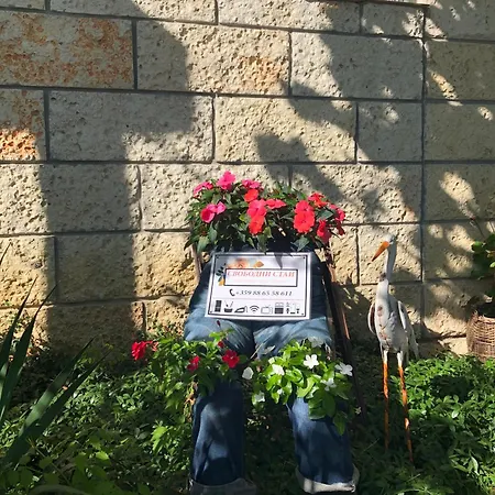 Sarievi Tsarevo